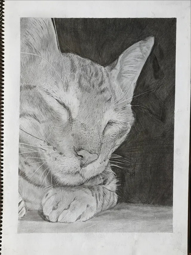 Sketch